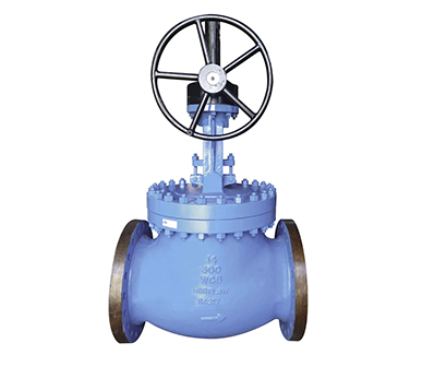 Globe Valve