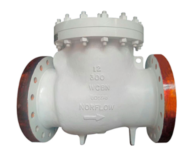 Non Return Valve