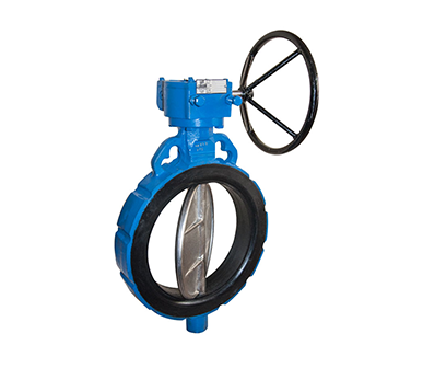 Butterfly Valve