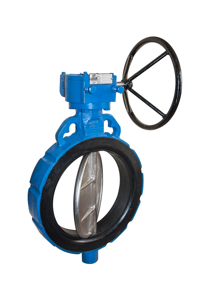 Butterfly Valves Manufacturer India, MOV Valve manufacturer