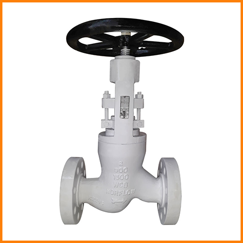 Globe Valve Manufacturer