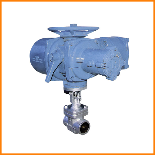 globe valve