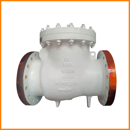 Non-Return Valve Manufacturer